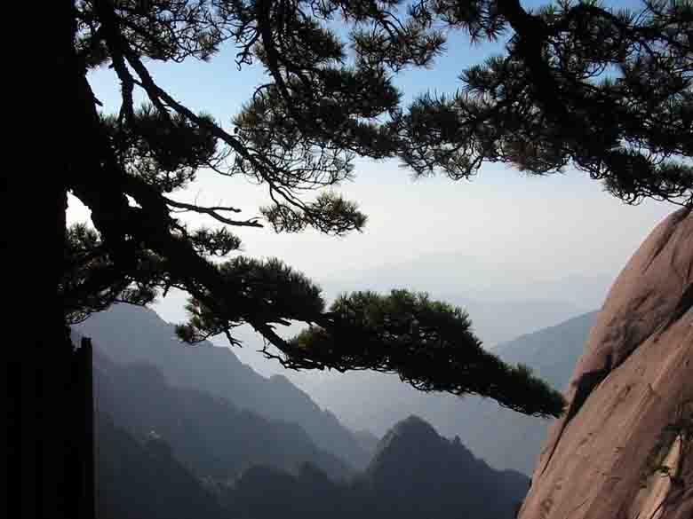 PAISAJE EN LA MONTAÑA AMARILLA (HUANGSHAN) - CHINA