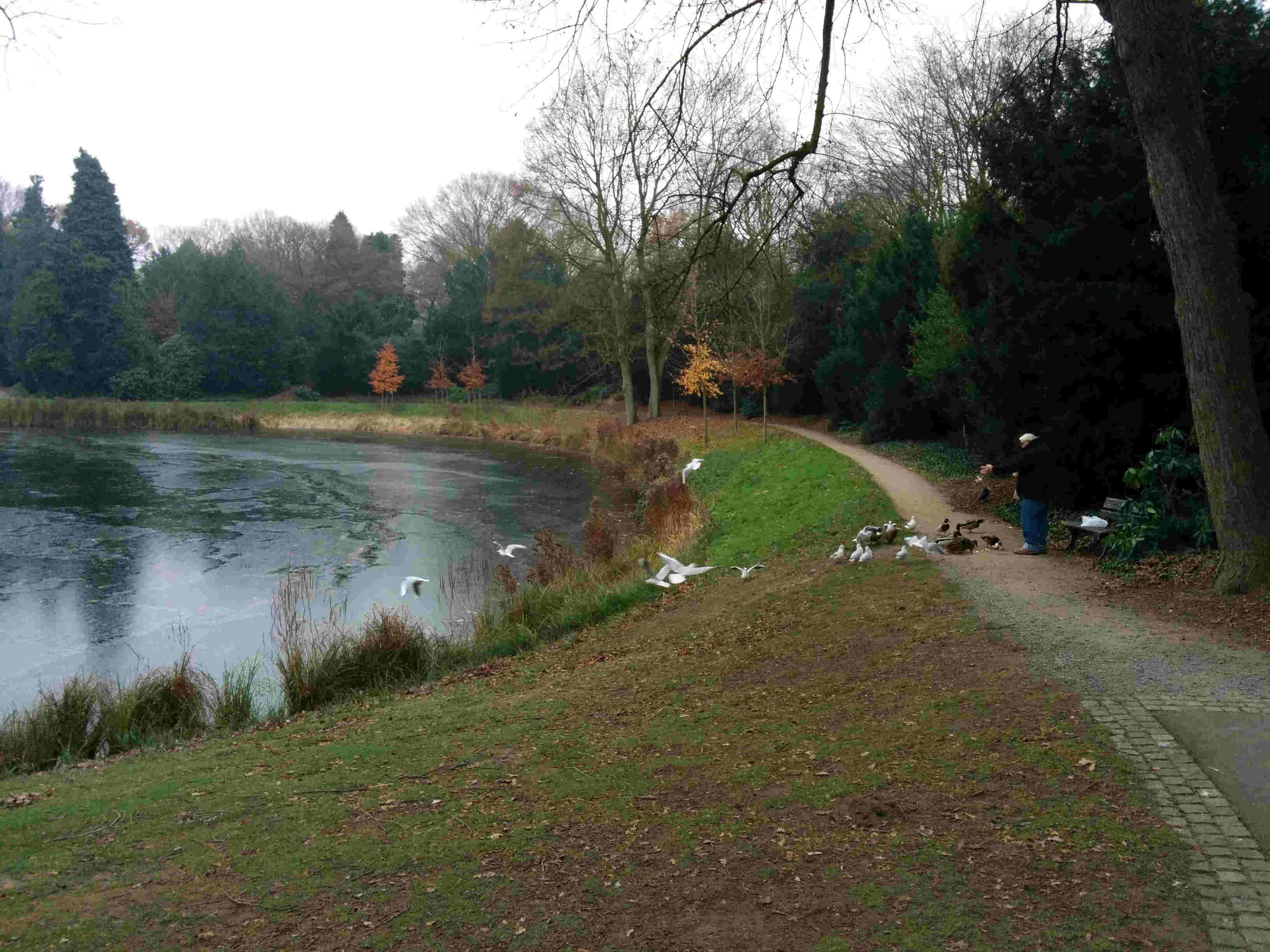 CEMENTERIO DE RIENSBERG EN BREMEN