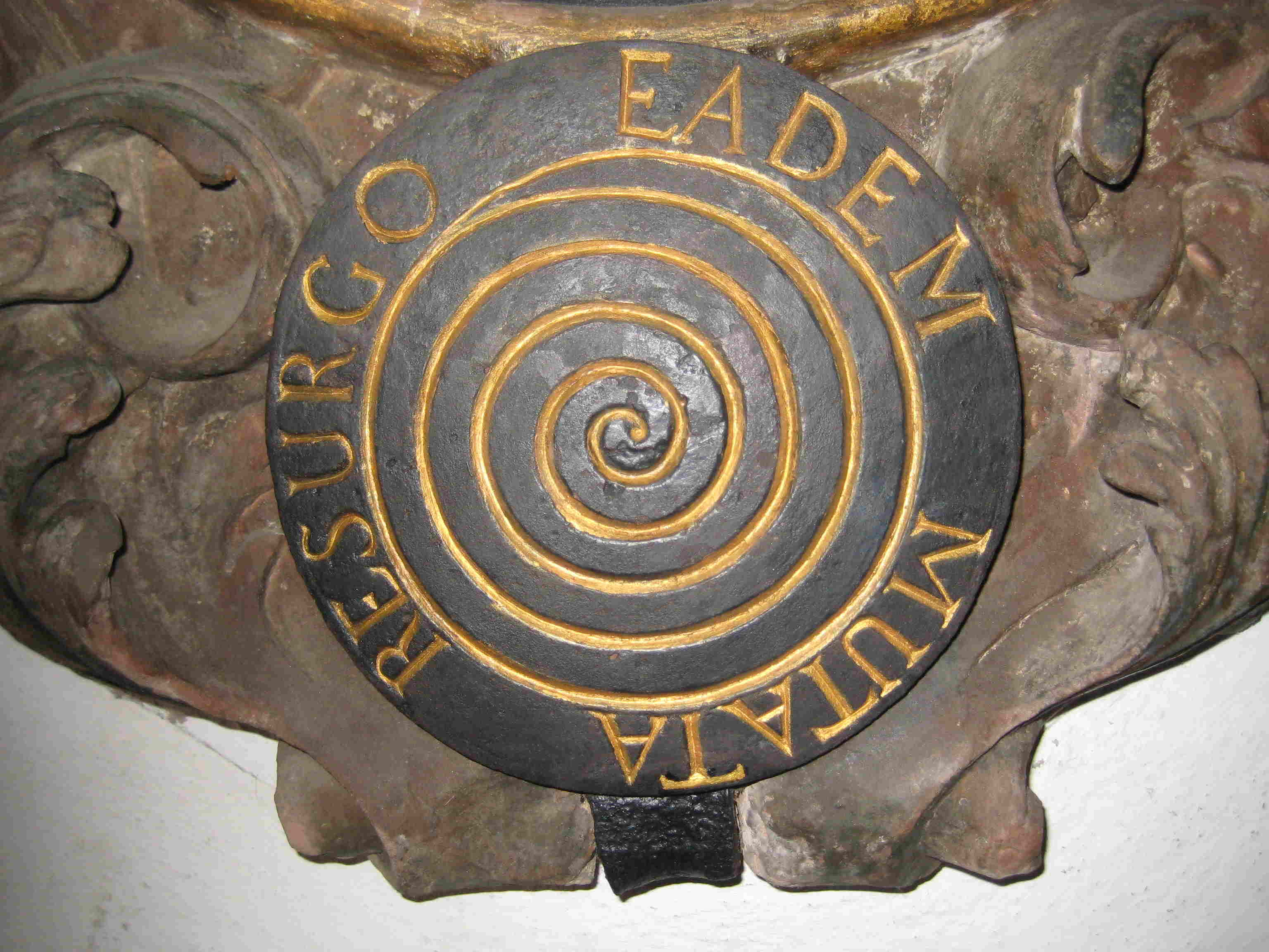 DETALLE ESPIRAL LOGARITMICA